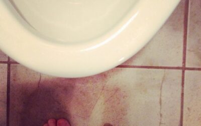 What I Did on My Christmas Vacation