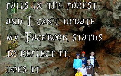 Some Reflections on Very Big Trees and an Involuntary Internet Fast