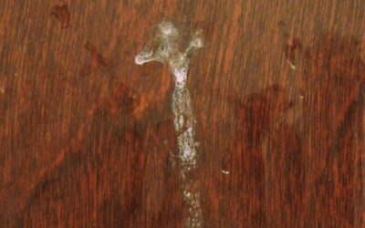 Toothpaste Jesus and Other Miracles