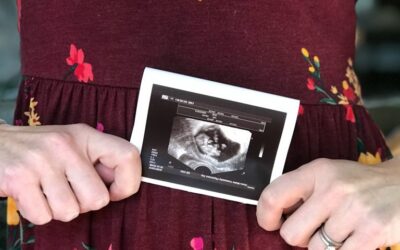 All of Them, or: I Have an Announcement to Make